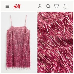 H&M Sequined Dress with Fringe Hem